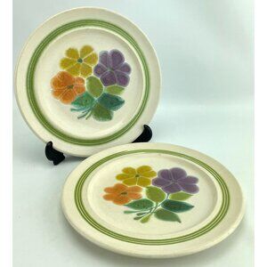 Vintage Franciscan salad plates, Mid Century Earthenware, Floral pattern, pair